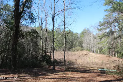 View/Area - 426 Lamar St, Lucedale, MS 39452 photo 7 of 10