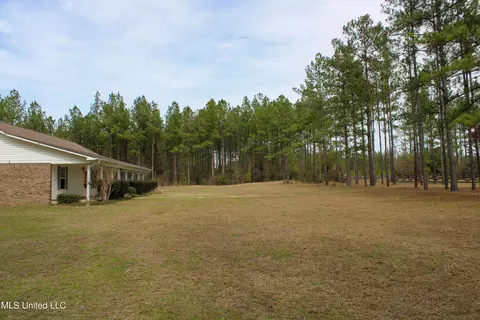 Exterior - 294 Monkey Mizell Rd, Lucedale, MS 39452 photo 11 of 14