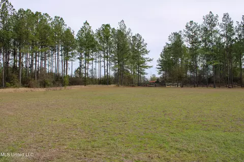 Exterior - 294 Monkey Mizell Rd, Lucedale, MS 39452 photo 10 of 14