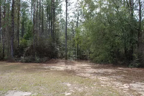 Exterior - 294 Monkey Mizell Rd, Lucedale, MS 39452 photo 12 of 14