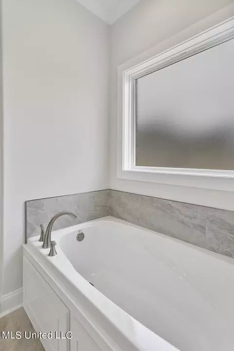 Bath - 506 Black Cherry Cv, Canton, MS 39046 photo 3 of 4