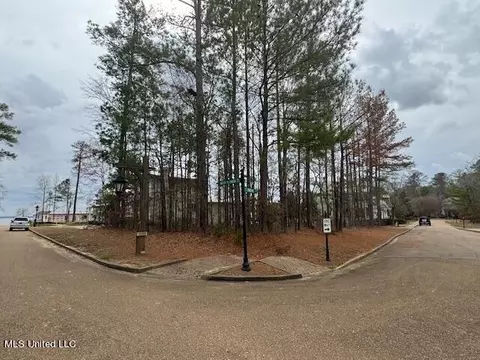 W Florida Boulevard, Madison, MS 39110 photo 2
