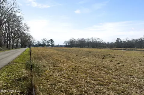 0 Homeland Dr, Saucier, MS 39574 photo 6