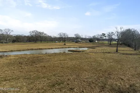 0 Homeland Dr, Saucier, MS 39574 photo 8