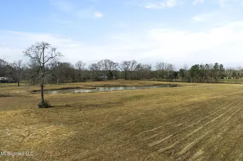 0 Homeland Dr, Saucier, MS 39574 photo 5