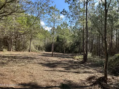 Hazel Bounds, Vancleave, MS 39565 photo 4