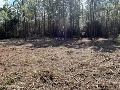 Hazel Bounds, Vancleave, MS 39565 photo 7