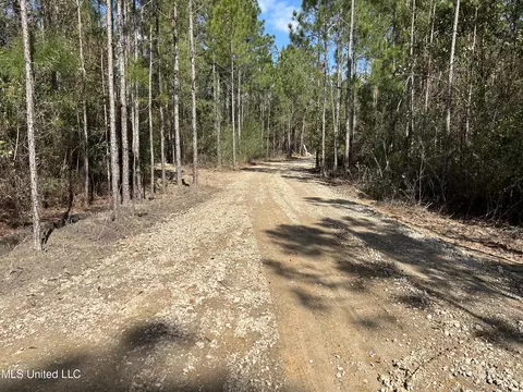 Hazel Bounds, Vancleave, MS 39565 photo 2