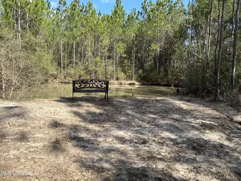 Hazel Bounds, Vancleave, MS 39565 photo 8