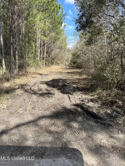 Hazel Bounds, Vancleave, MS 39565 photo 3
