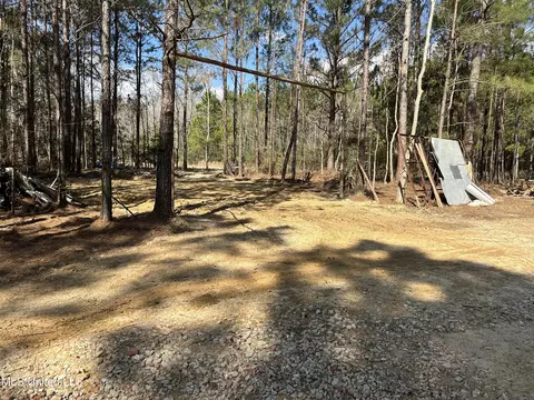 Hazel Bounds, Vancleave, MS 39565 photo 6