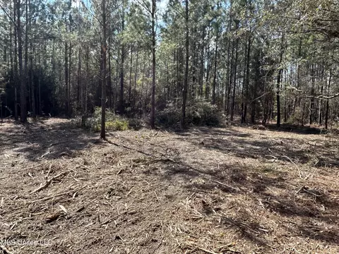Hazel Bounds, Vancleave, MS 39565 photo 5