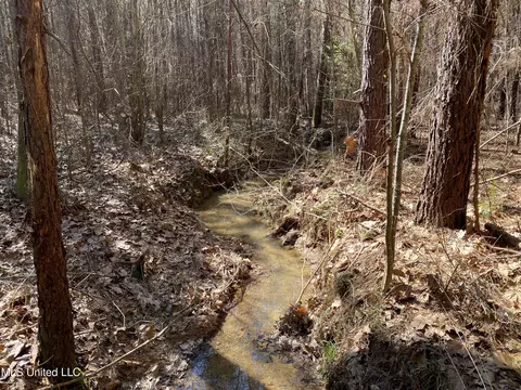 Ridge Road, Kosciusko, MS 39090 photo 2