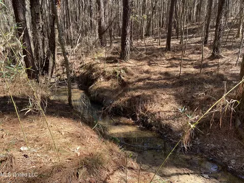 Ridge Road, Kosciusko, MS 39090 photo 12