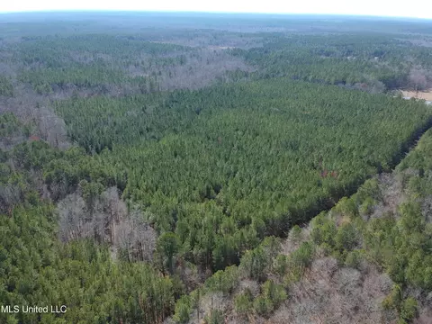 Ridge Road, Kosciusko, MS 39090 photo 3