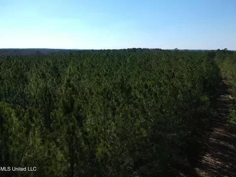 Ridge Road, Kosciusko, MS 39090 photo 14