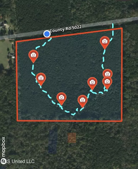 Ridge Road, Kosciusko, MS 39090 photo 13