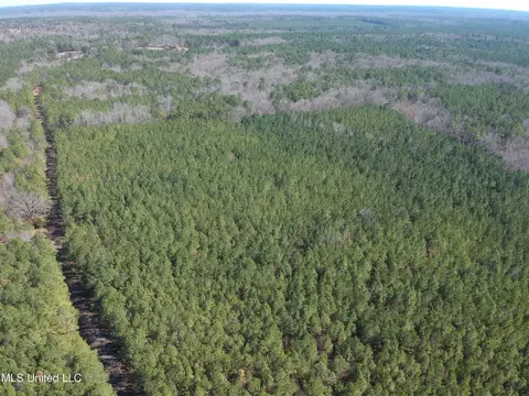 Ridge Road, Kosciusko, MS 39090 photo 8
