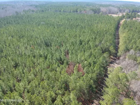 Ridge Road, Kosciusko, MS 39090 photo 7