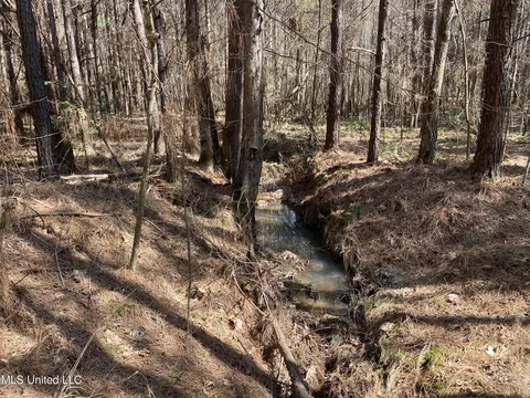 Ridge Road, Kosciusko, MS 39090 photo 9