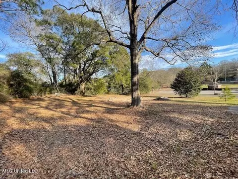 507 N Third St, Wiggins, MS 39577 photo 2