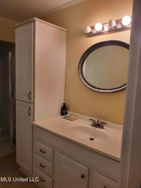 Bath - 287 Oliver Ave, Sledge, MS 38670 photo 2 of 2