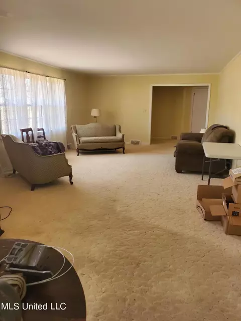 Living - 287 Oliver Ave, Sledge, MS 38670 photo 10 of 11