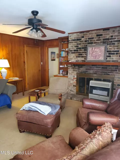 Living - 287 Oliver Ave, Sledge, MS 38670 photo 3 of 11