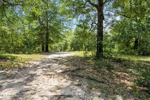 3 Ac Wildflower Cir, Lumberton, MS 39455