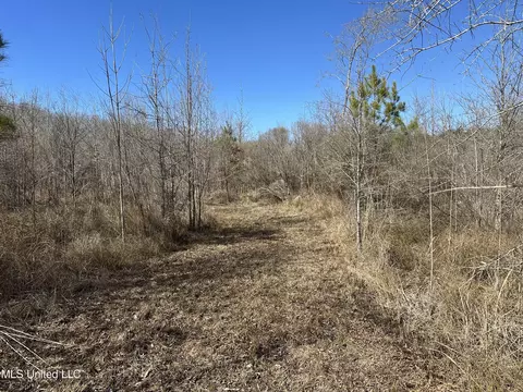 Center Rd, Kosciusko, MS 39090 photo 13