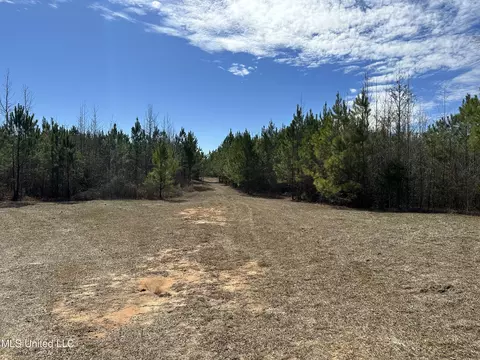 Center Rd, Kosciusko, MS 39090