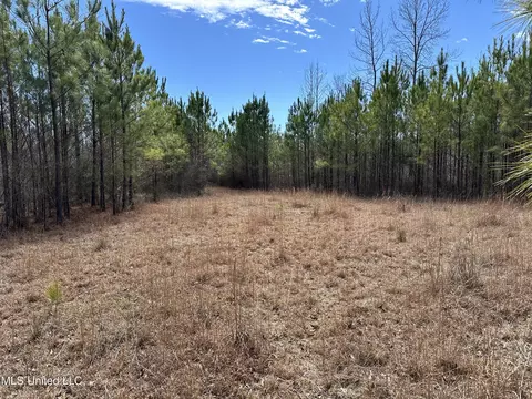 Center Rd, Kosciusko, MS 39090 photo 6