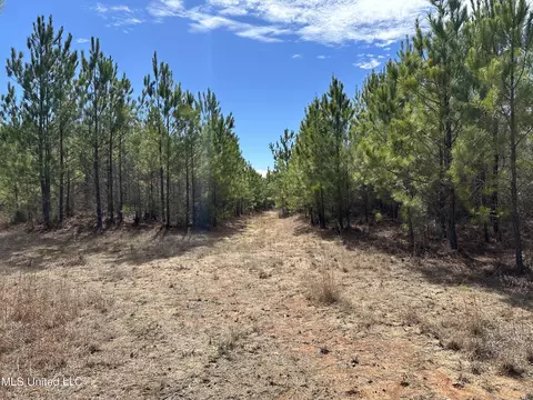 Center Rd, Kosciusko, MS 39090 photo 3