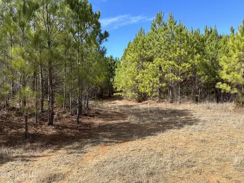 Center Rd, Kosciusko, MS 39090 photo 4