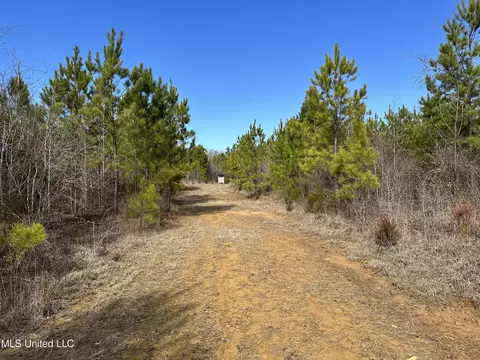 Center Rd, Kosciusko, MS 39090 photo 10
