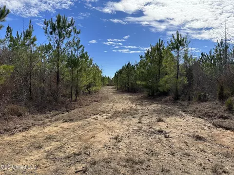 Center Rd, Kosciusko, MS 39090 photo 9