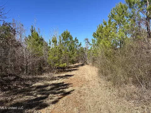 Center Rd, Kosciusko, MS 39090 photo 5
