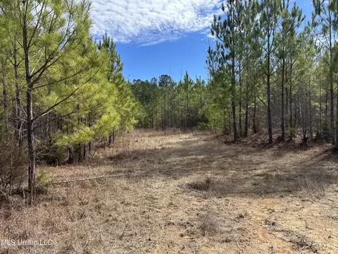 Center Rd, Kosciusko, MS 39090 photo 8