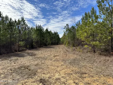 Center Rd, Kosciusko, MS 39090 photo 11