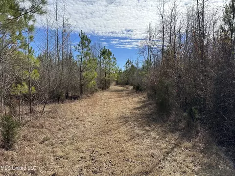 Center Rd, Kosciusko, MS 39090 photo 12