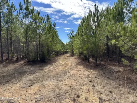 Center Rd, Kosciusko, MS 39090 photo 7