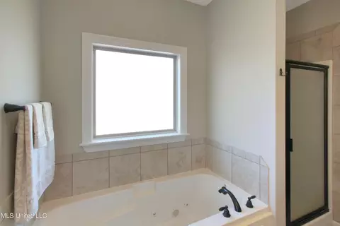 Bath - 137 Kaden Ln, Canton, MS 39046 photo 3 of 5