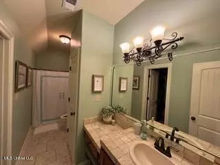 Bath - 2585 Atticus Ln, Nesbit, MS 38651 photo 2 of 2