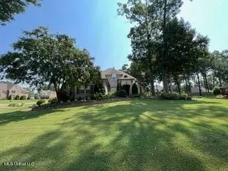 Exterior - 2585 Atticus Ln, Nesbit, MS 38651 photo 4 of 6