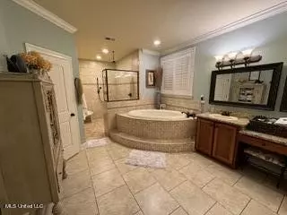 Bath - 2585 Atticus Ln, Nesbit, MS 38651 photo 1 of 2