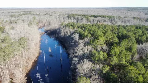 River Bend Road, Terry, MS 39170 photo 8