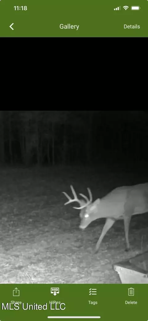 River Bend Road, Terry, MS 39170 photo 18