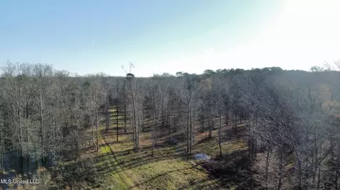 River Bend Road, Terry, MS 39170 photo 3