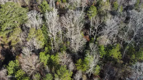 River Bend Road, Terry, MS 39170 photo 6