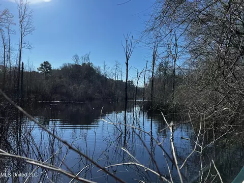 River Bend Road, Terry, MS 39170 photo 14